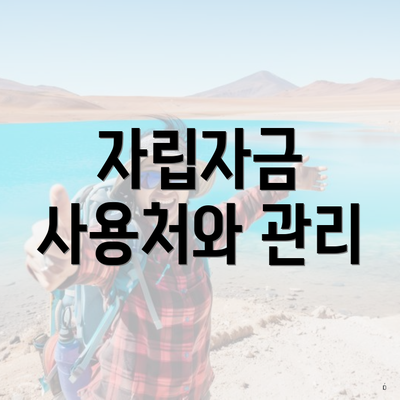 자립자금 사용처와 관리