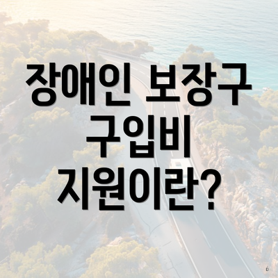 장애인 보장구 구입비 지원이란?