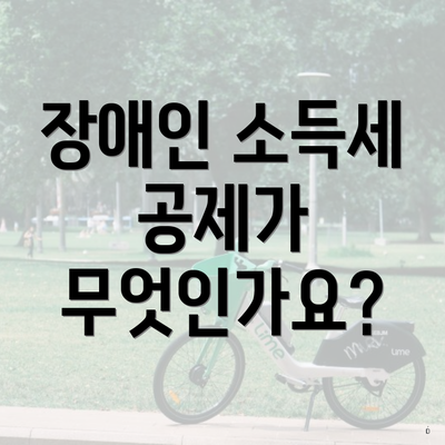 장애인 소득세 공제가 무엇인가요?