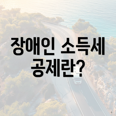 장애인 소득세 공제란?