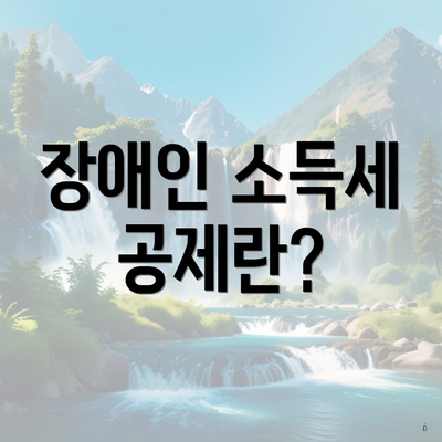 장애인 소득세 공제란?