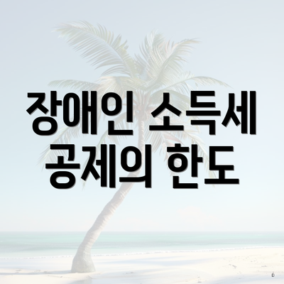 장애인 소득세 공제의 한도
