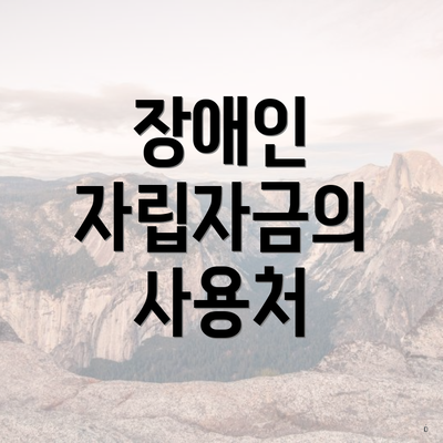 장애인 자립자금의 사용처