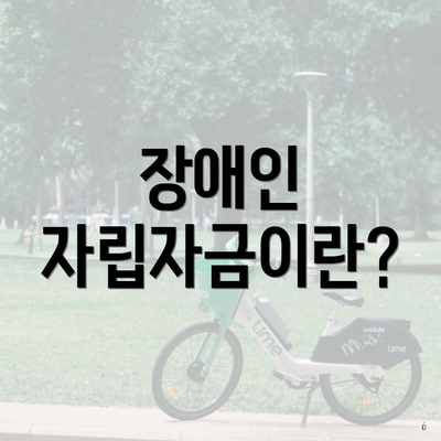 장애인 자립자금이란?