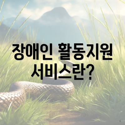 장애인 활동지원 서비스란?