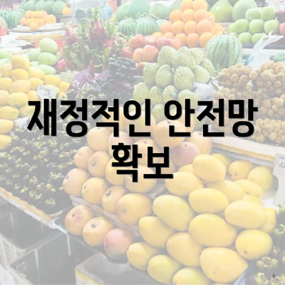 재정적인 안전망 확보