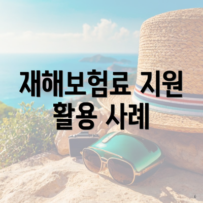 재해보험료 지원 활용 사례