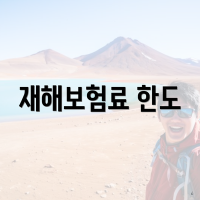 재해보험료 한도