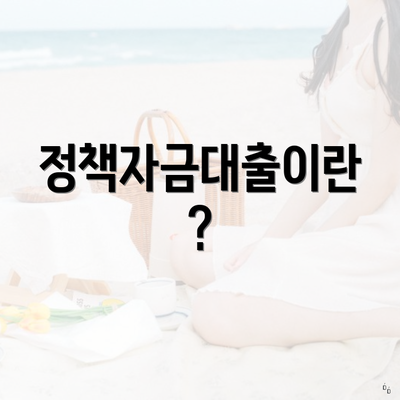 정책자금대출이란?