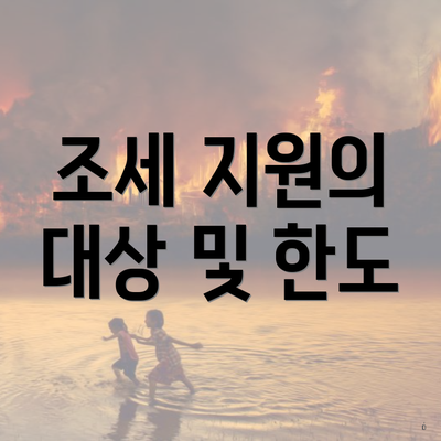 조세 지원의 대상 및 한도