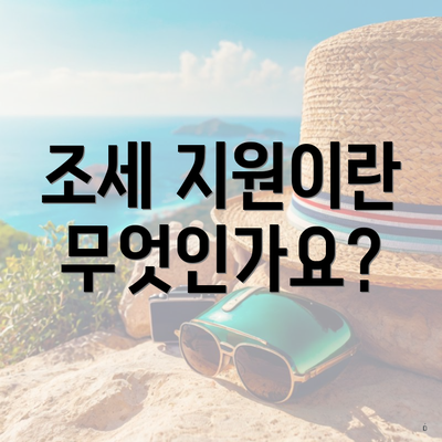 조세 지원이란 무엇인가요?