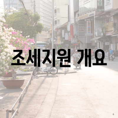 조세지원 개요