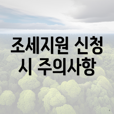 조세지원 신청 시 주의사항