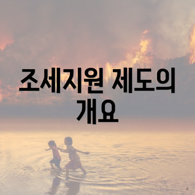 조세지원 제도의 개요