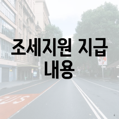 조세지원 지급 내용