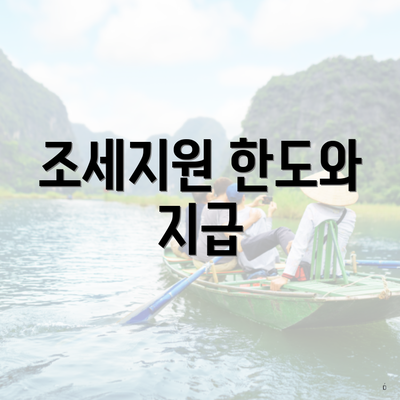 조세지원 한도와 지급