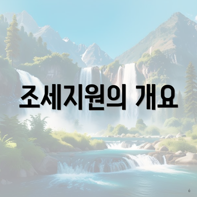 조세지원의 개요