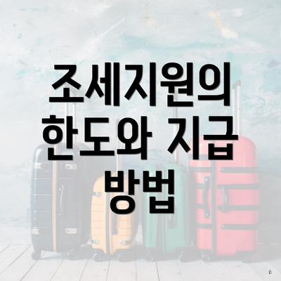 조세지원의 한도와 지급 방법