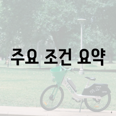 주요 조건 요약