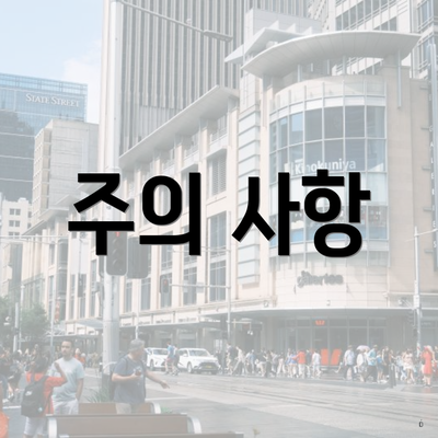 주의 사항