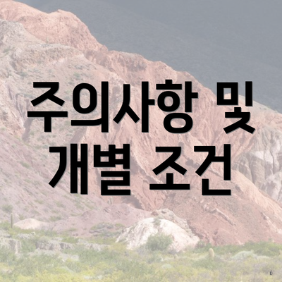 주의사항 및 개별 조건