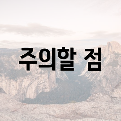 주의할 점