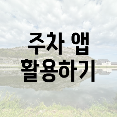 주차 앱 활용하기