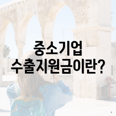 중소기업 수출지원금이란?