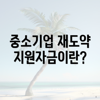 중소기업 재도약지원자금이란?