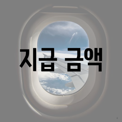 지급 금액