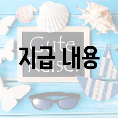 지급 내용