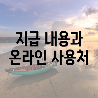 지급 내용과 온라인 사용처