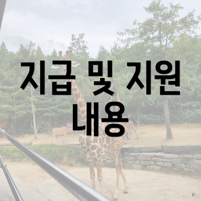 지급 및 지원 내용
