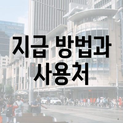 지급 방법과 사용처