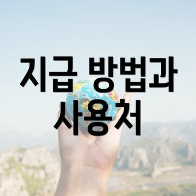 지급 방법과 사용처