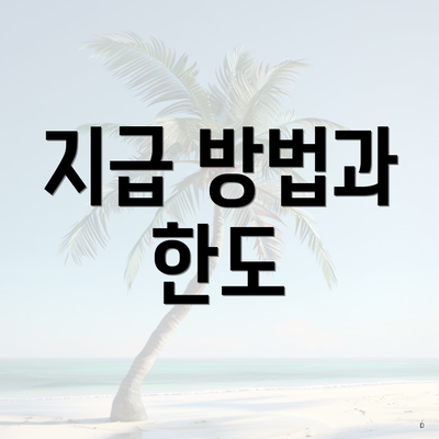 지급 방법과 한도