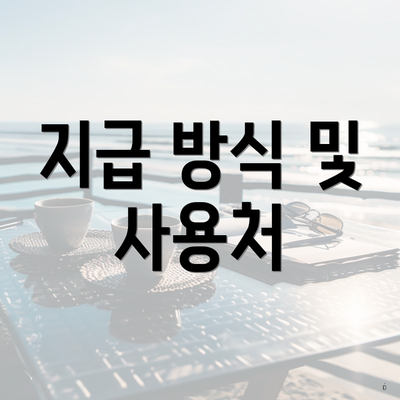 지급 방식 및 사용처
