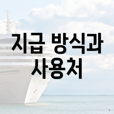 지급 방식과 사용처