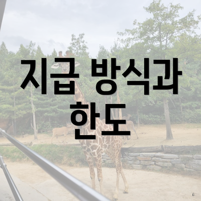 지급 방식과 한도