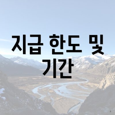 지급 한도 및 기간