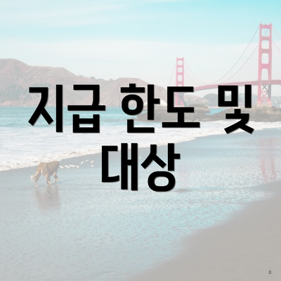 지급 한도 및 대상