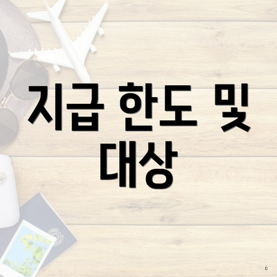 지급 한도 및 대상