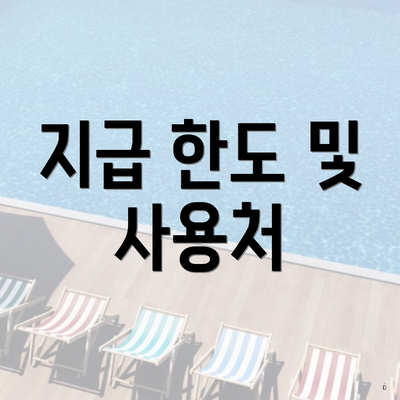 지급 한도 및 사용처