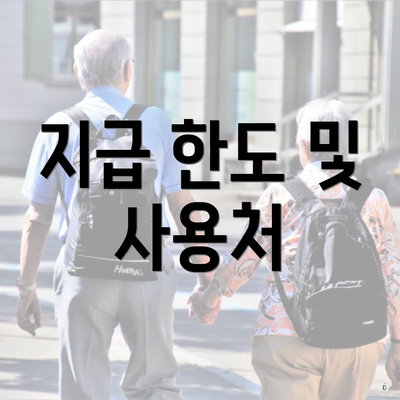 지급 한도 및 사용처