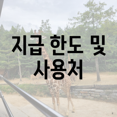 지급 한도 및 사용처