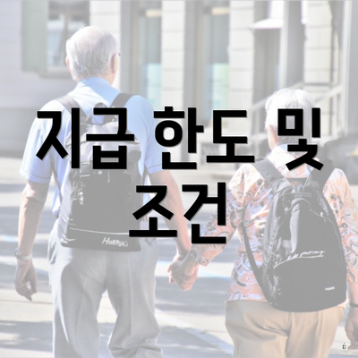지급 한도 및 조건