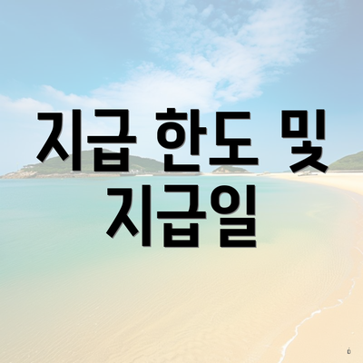 지급 한도 및 지급일