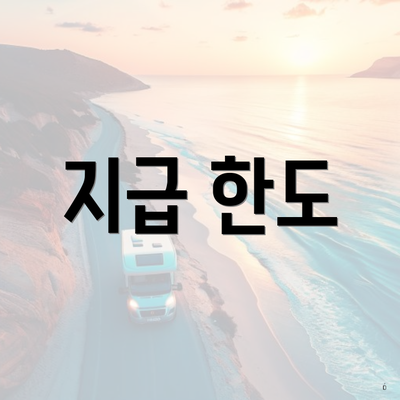 지급 한도