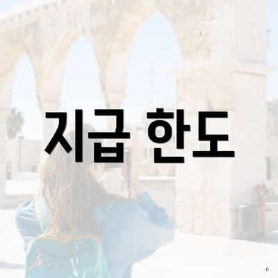 지급 한도