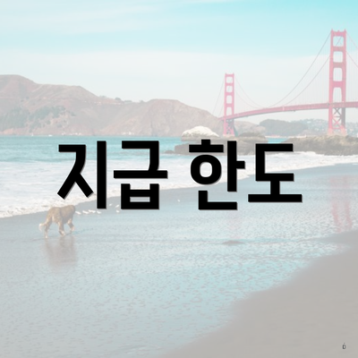 지급 한도